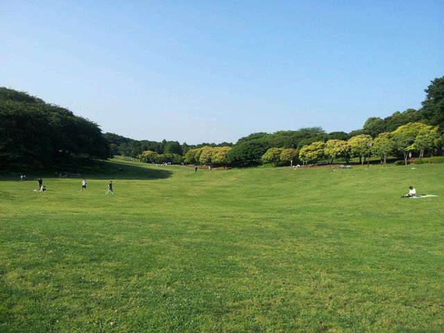 d0075741_035791.jpg