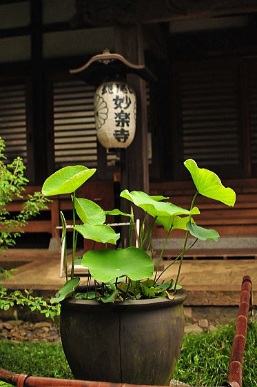 f0094843_040279.jpg