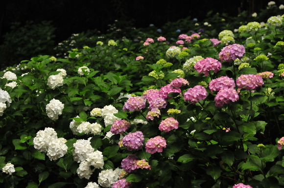 f0094843_042830.jpg