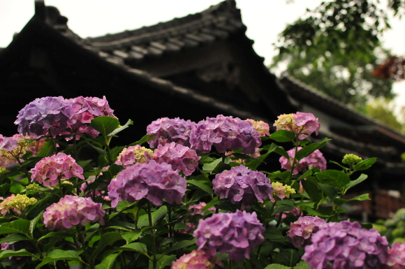 f0094843_0473126.jpg