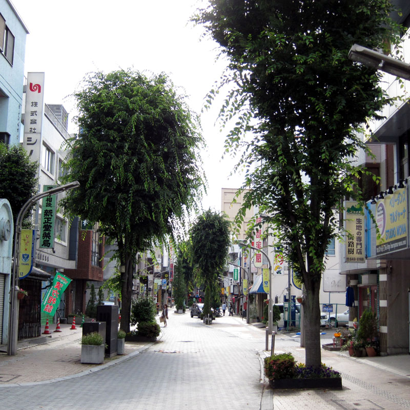 f0184244_21161358.jpg