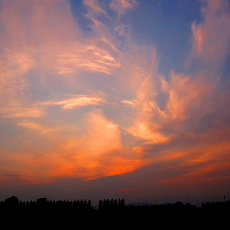 f0184244_2123598.jpg