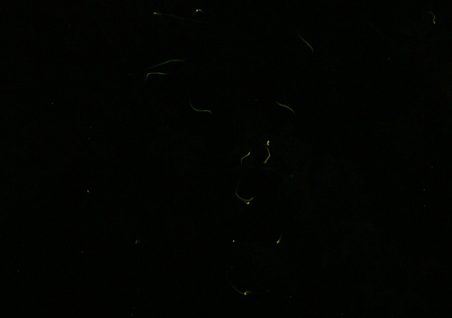 f0214649_11192795.jpg