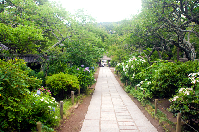 f0176458_10165044.jpg