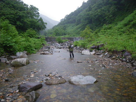 b0211960_23402199.jpg