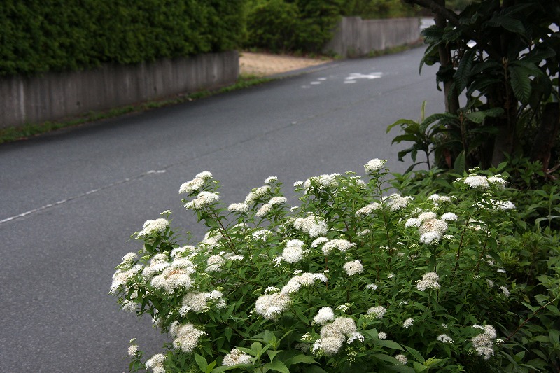 d0244960_20292622.jpg