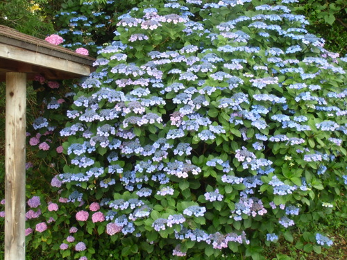 e0213360_21454829.jpg
