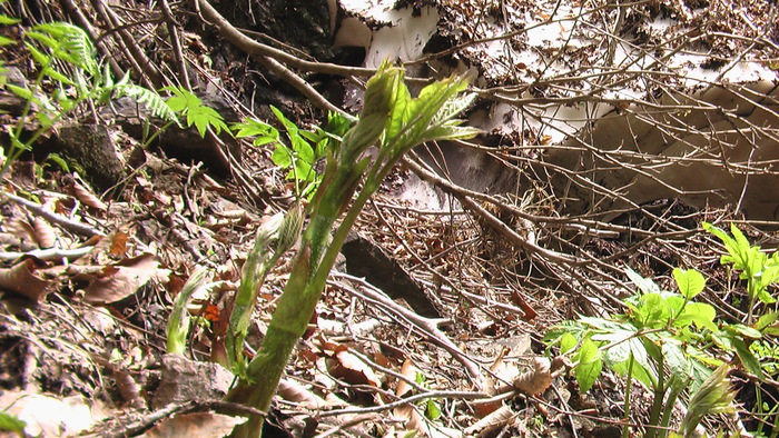 b0208961_771622.jpg