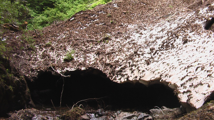 b0208961_79195.jpg