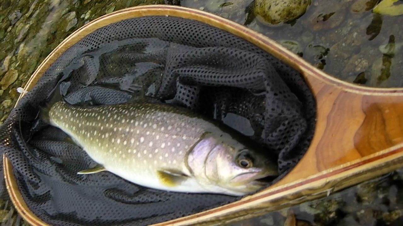 f0163561_2138747.jpg