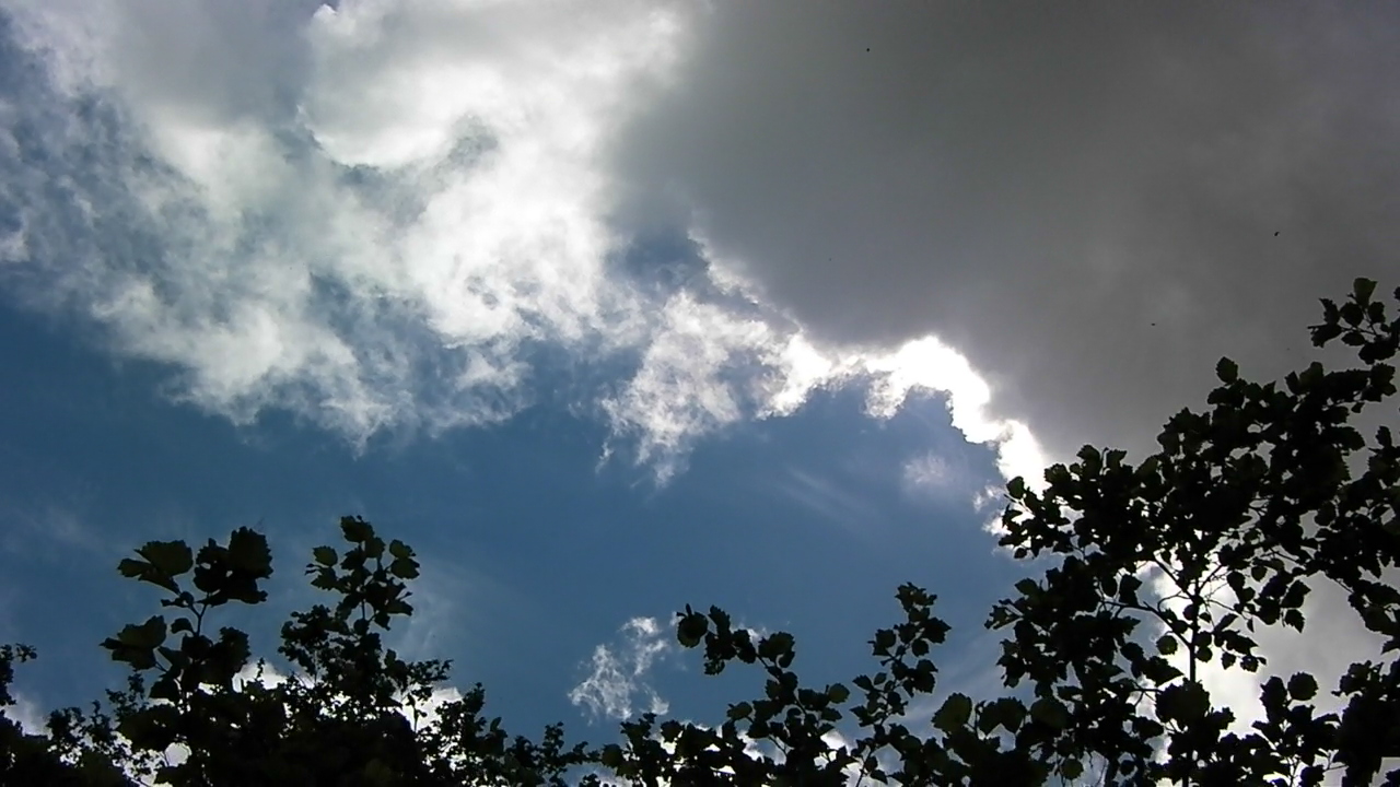 f0163561_21412964.jpg