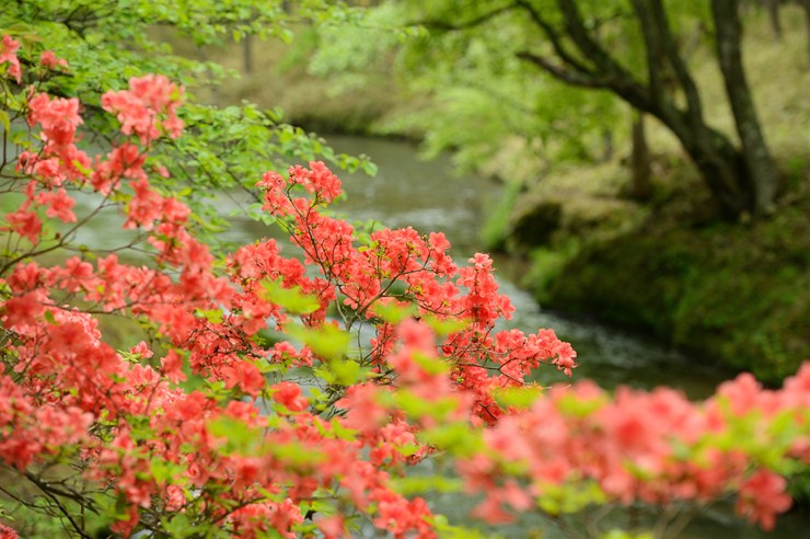 f0222161_21312046.jpg