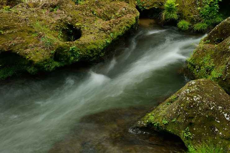 f0222161_21313287.jpg