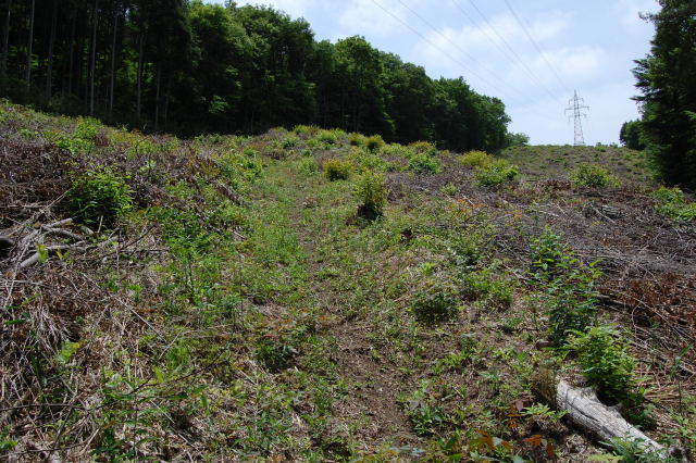 b0167762_2242090.jpg