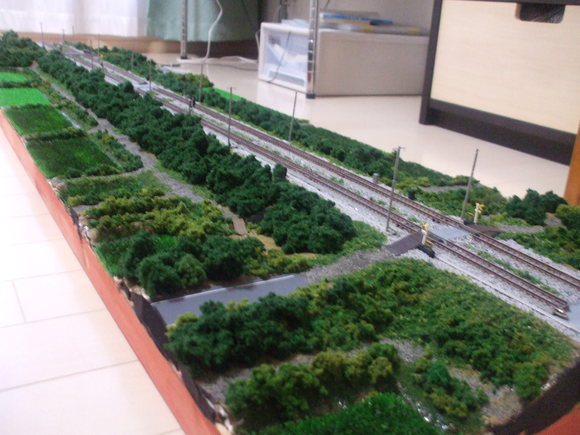 f0131165_228080.jpg