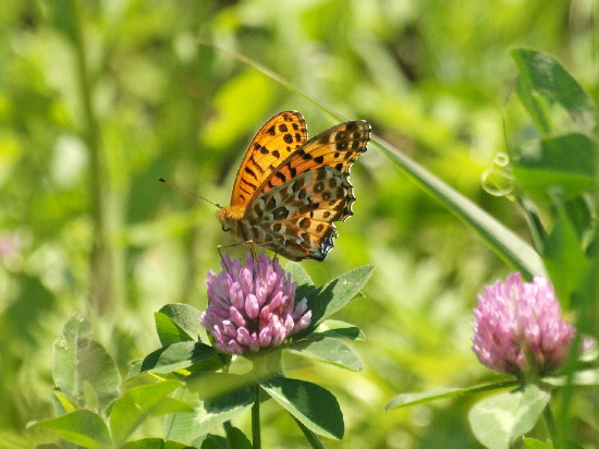 f0208666_1501760.jpg