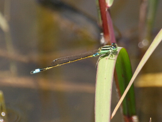 f0208666_15162022.jpg
