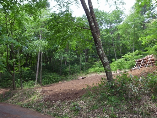 c0166668_891838.jpg