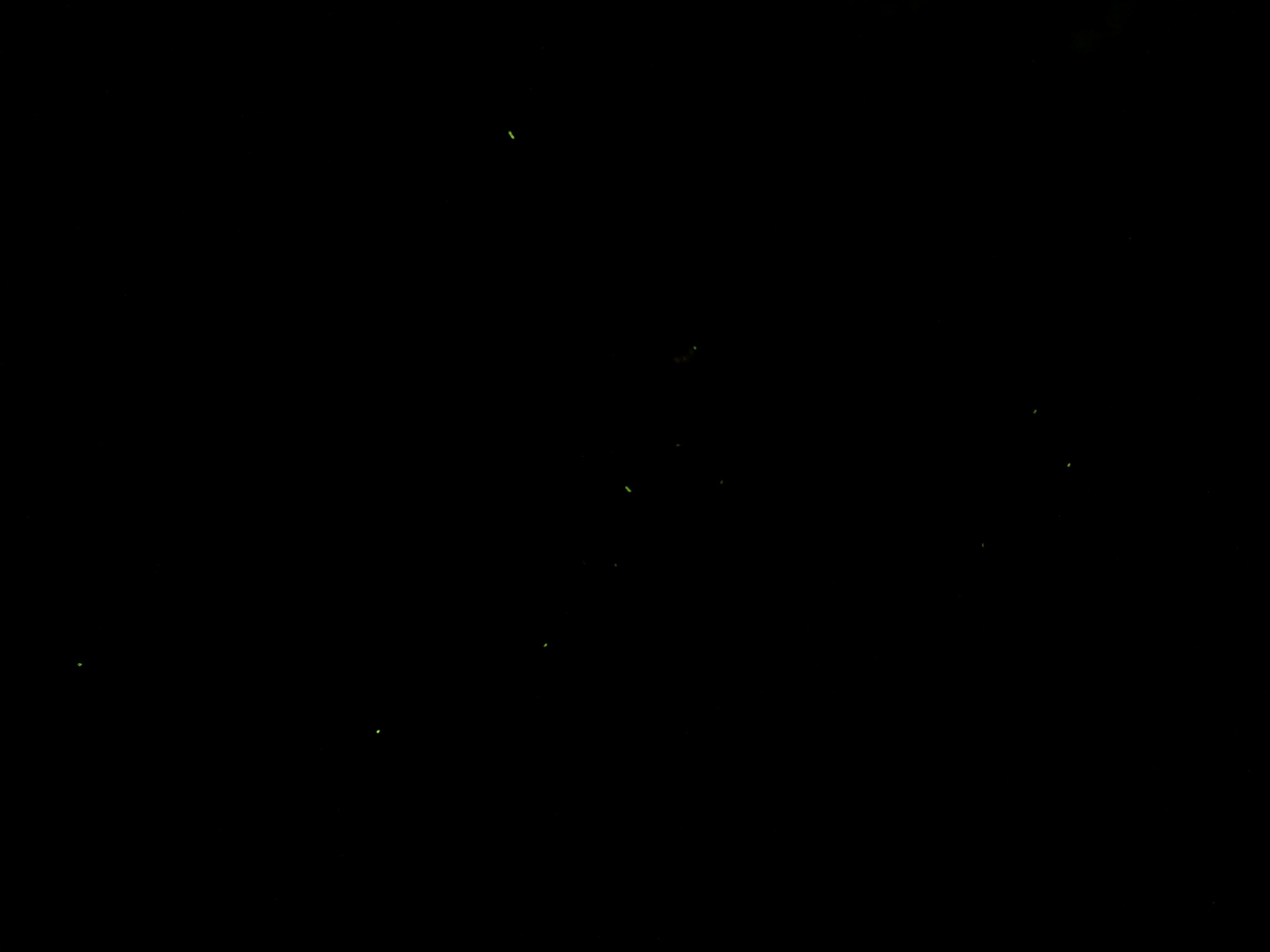 c0171468_18114722.jpg