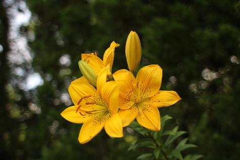 e0024081_21475569.jpg