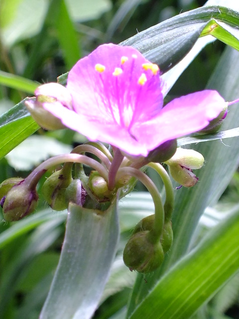 e0145782_20153383.jpg