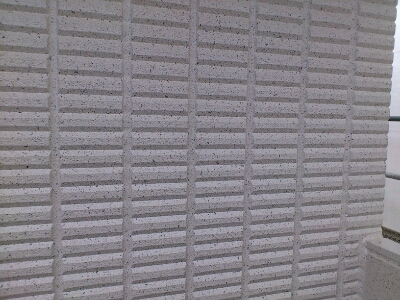 e0260487_1513833.jpg