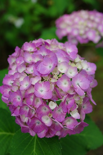 b0119493_18265041.jpg