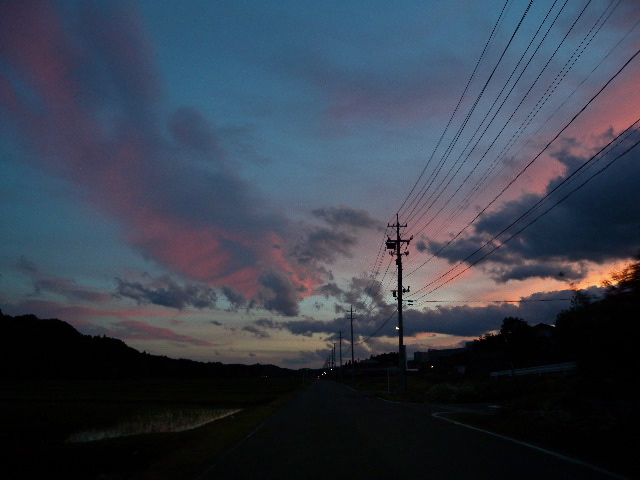 a0199297_2159553.jpg