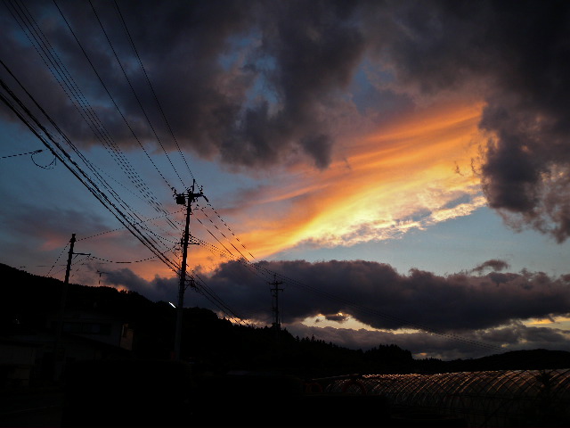 a0199297_215972.jpg