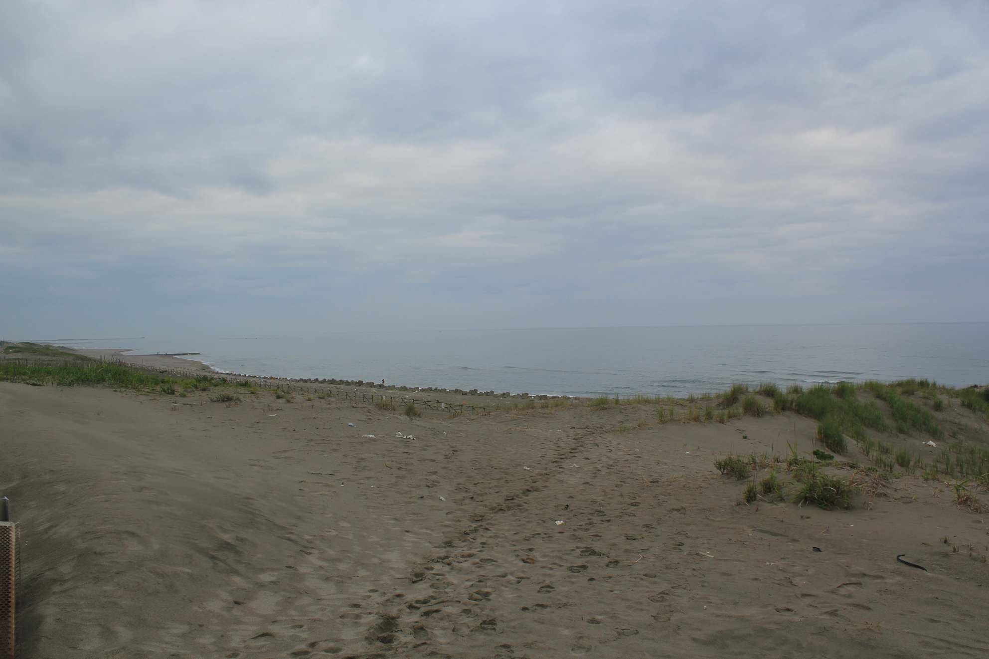 a0264604_7352172.jpg