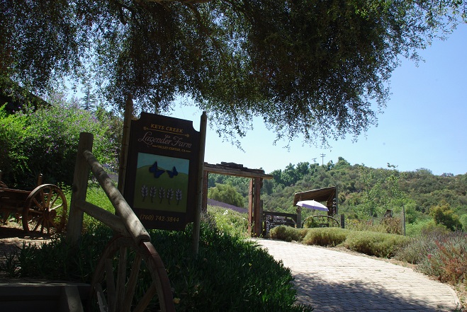f0038904_6435648.jpg