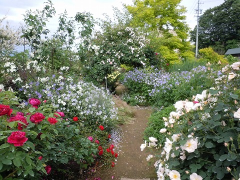 c0117007_20441453.jpg