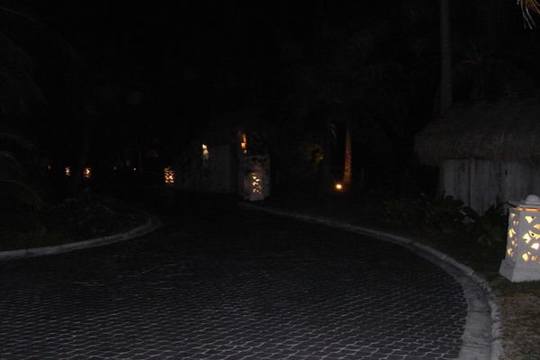 f0006510_21331655.jpg
