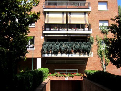 b0064411_139310.jpg