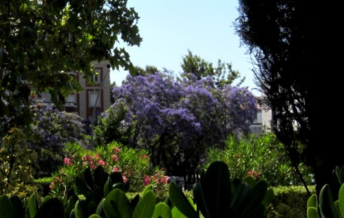 b0064411_1434271.jpg