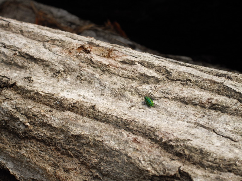 d0022918_2228144.jpg
