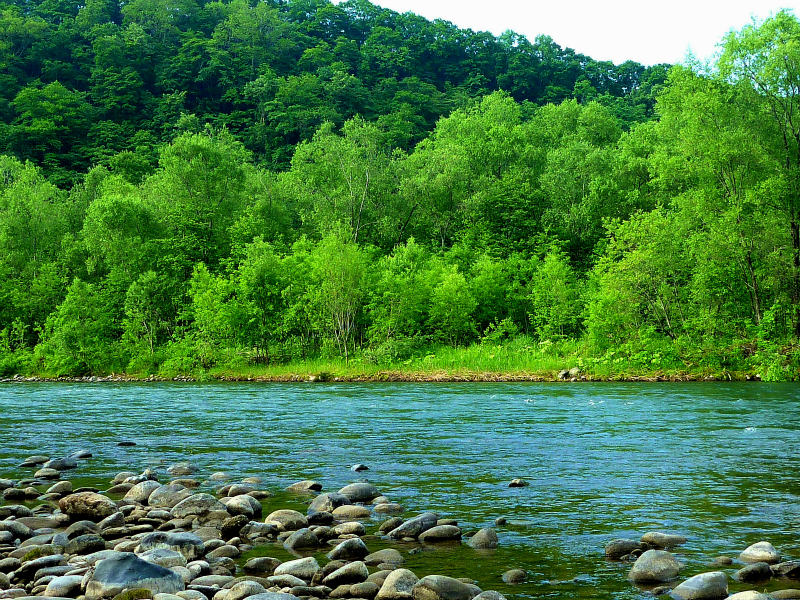 f0153018_21102777.jpg