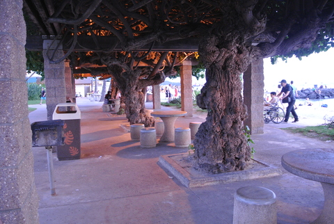 e0219520_16253454.jpg