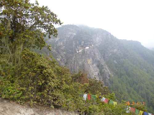 e0047322_2218744.jpg