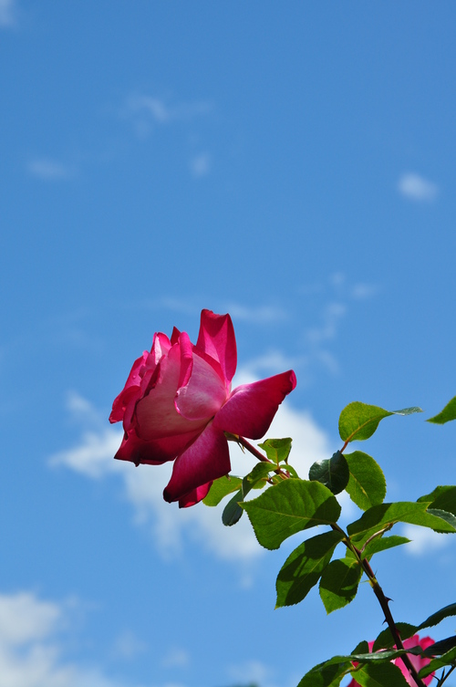 a0248728_023095.jpg