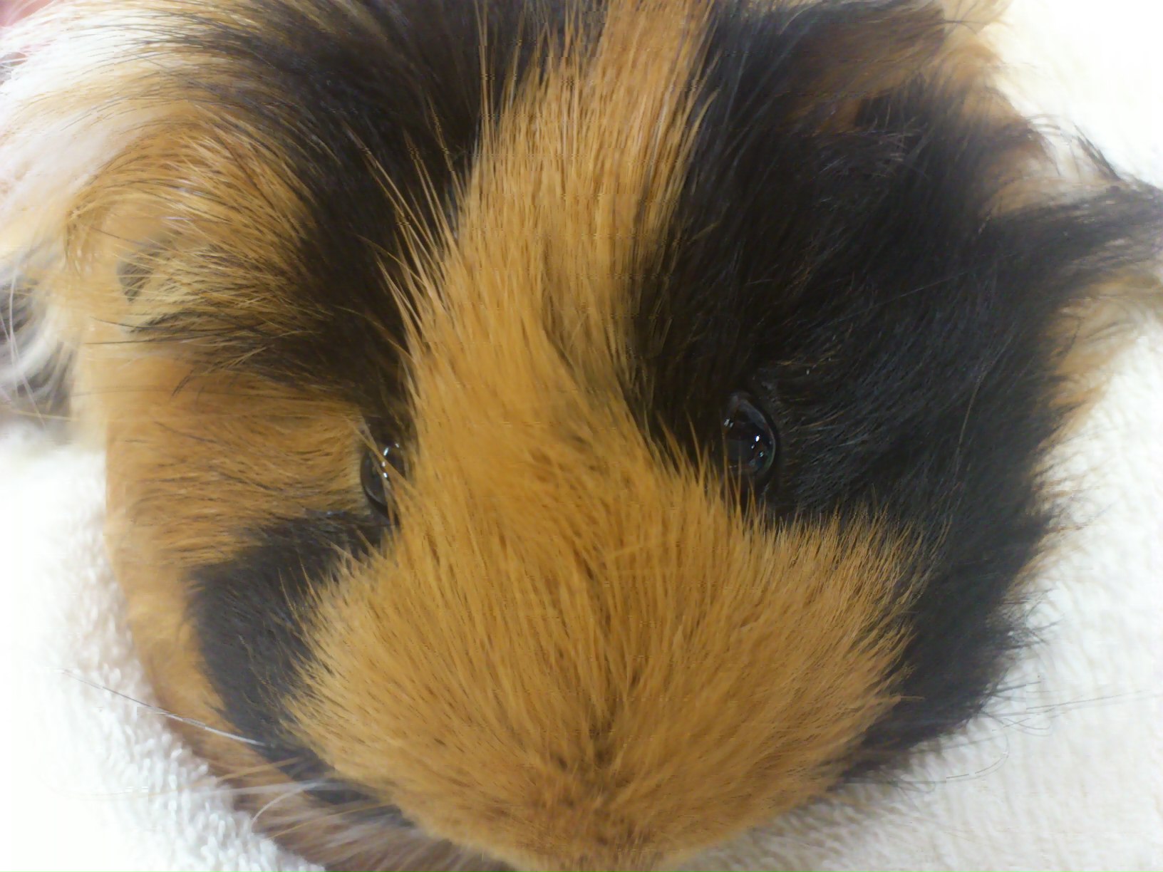 c0115539_22423345.jpg