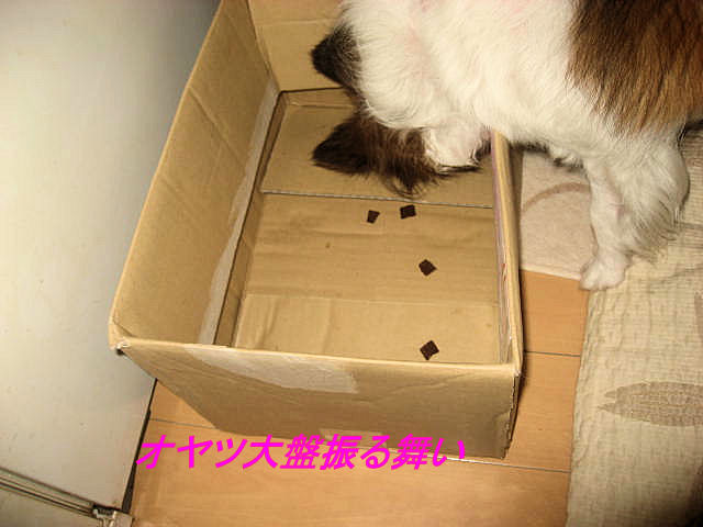 a0149240_13583293.jpg