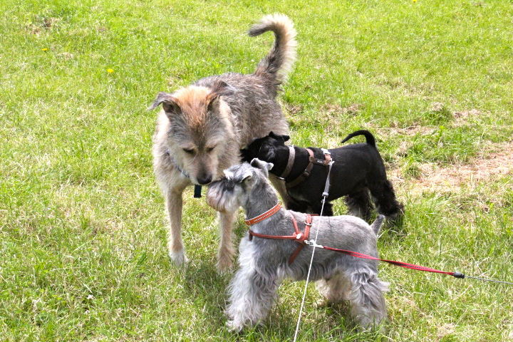 c0153740_017375.jpg