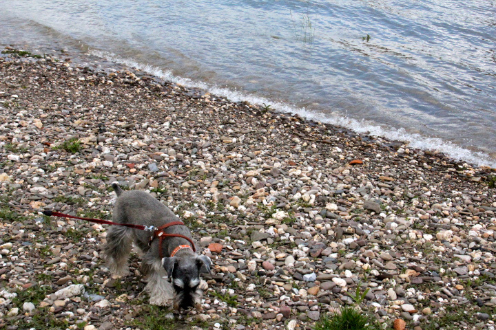c0153740_019014.jpg