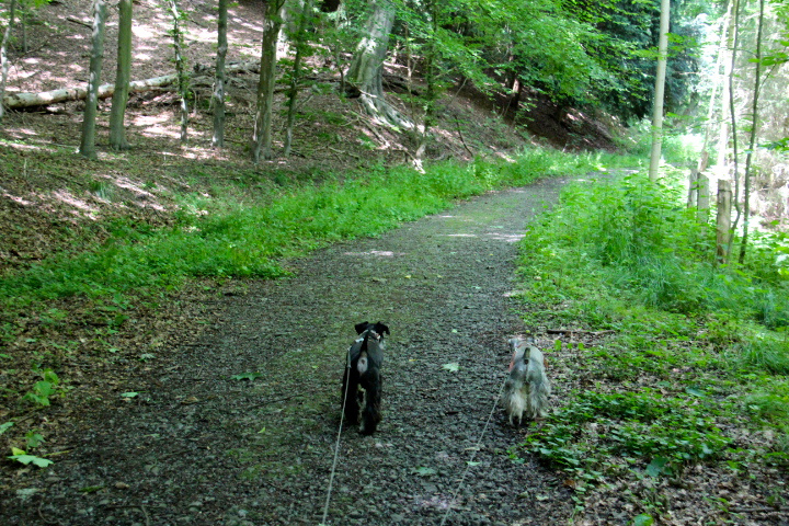 c0153740_0285030.jpg