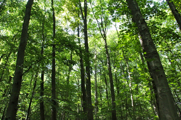c0153740_0374093.jpg