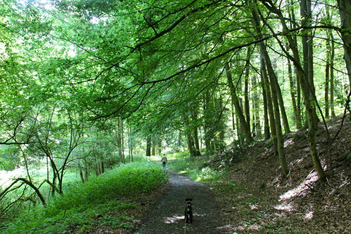 c0153740_4175375.jpg