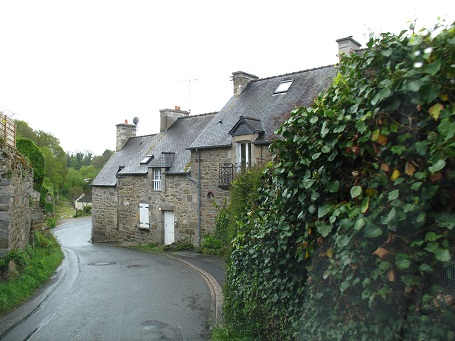 d0167041_3531786.jpg