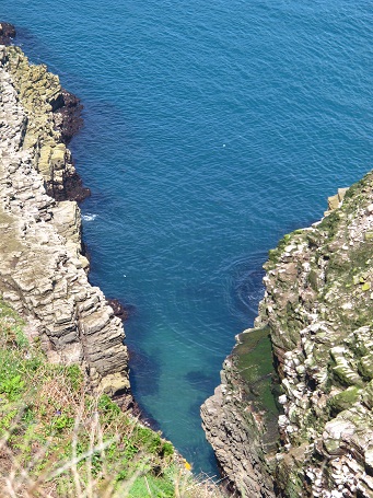 d0167041_3565691.jpg
