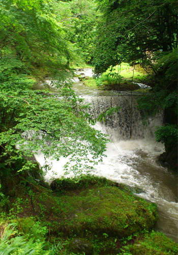 a0145944_20575415.jpg